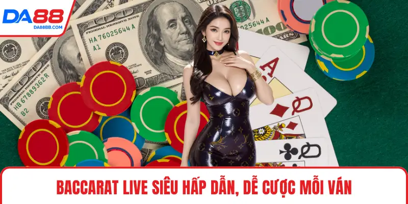 Casino Live HD – Trải Nghiệm Cược Trực Tuyến Chất Lượng - Mavon