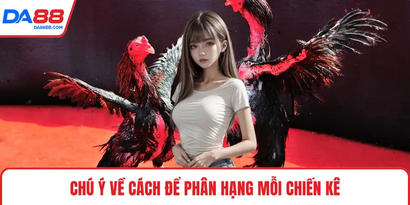 Đá Gà Thomo - Những Quy Tắc Quan Trọng Khi Vào Trận - Mavon