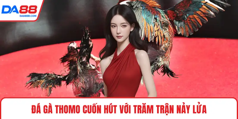Đá Gà Thomo - Những Quy Tắc Quan Trọng Khi Vào Trận - Mavon