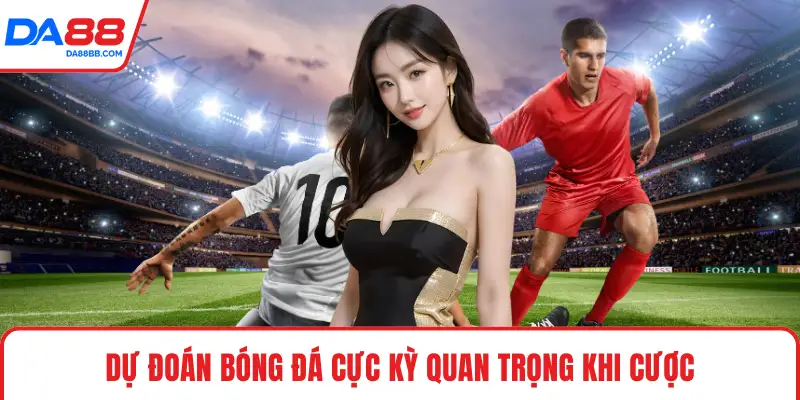 Dự Đoán Bóng Đá Chính Xác, Hiệu Quả Cho Hội Viên Mới - Mavon