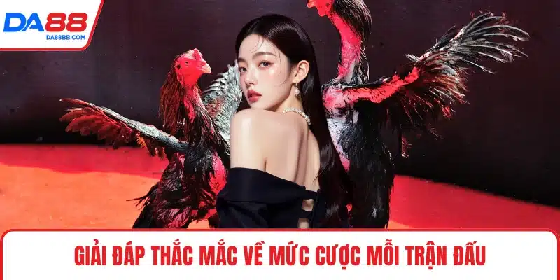 Đá Gà DA88 - Trận Đấu Kịch Tính, Tỷ Lệ Cược Minh Bạch - Mavon