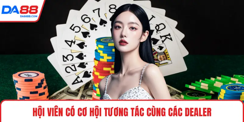 Casino Live HD – Trải Nghiệm Cược Trực Tuyến Chất Lượng - Mavon