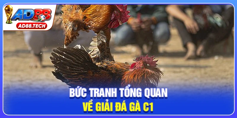 Đá Gà C1 – Trực Tiếp Lịch Thi Đấu Và Kết Quả Mới Nhất - Mavon