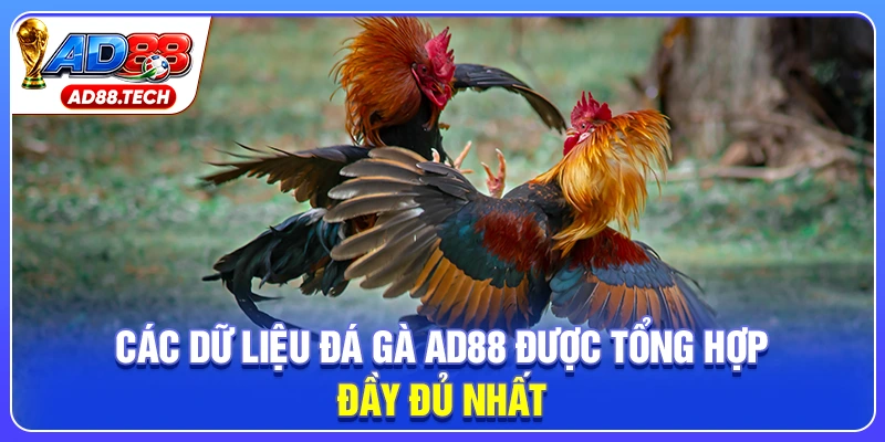 Đá Gà AD88: Livestream Sắc Nét, Kèo Cược Đa Dạng - Mavon