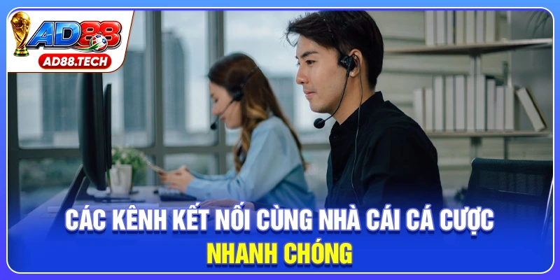 Liên Hệ AD88: Các Kênh Hỗ Trợ Độc Quyền Nhận Quà Khủng - Mavon