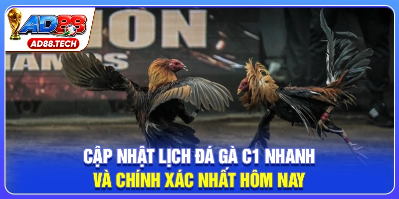 Đá Gà C1 – Trực Tiếp Lịch Thi Đấu Và Kết Quả Mới Nhất - Mavon