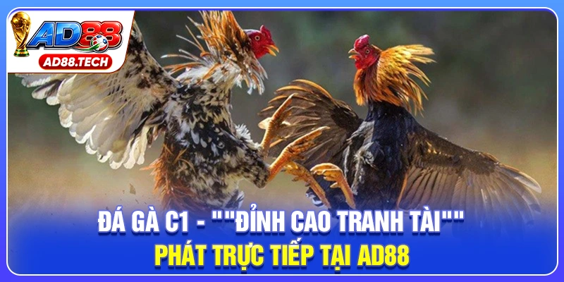 Đá Gà C1 – Trực Tiếp Lịch Thi Đấu Và Kết Quả Mới Nhất - Mavon