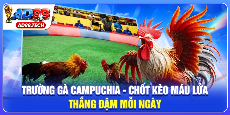 Tin Tức AD88 – Cập Nhật Sự Kiện Và Thông Tin Mới Nhất - Mavon