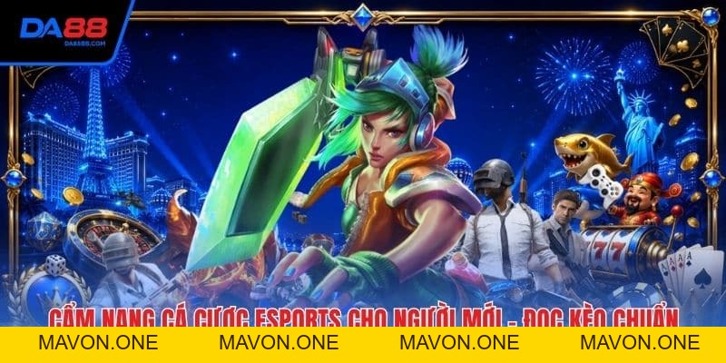 Đá Gà Thomo - Những Quy Tắc Quan Trọng Khi Vào Trận - Mavon