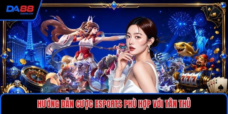 Cẩm Nang Cá Cược Esports Cho Người Mới - Đọc Kèo Chuẩn - Mavon