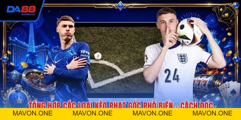 Đá Gà Thomo - Những Quy Tắc Quan Trọng Khi Vào Trận - Mavon